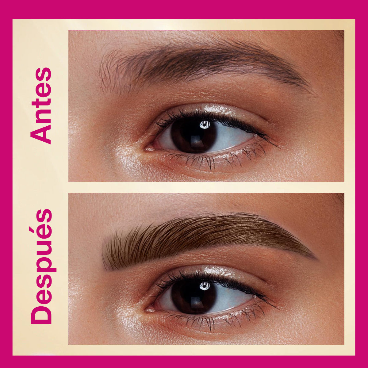 Lápiz Delineador de Cejas
